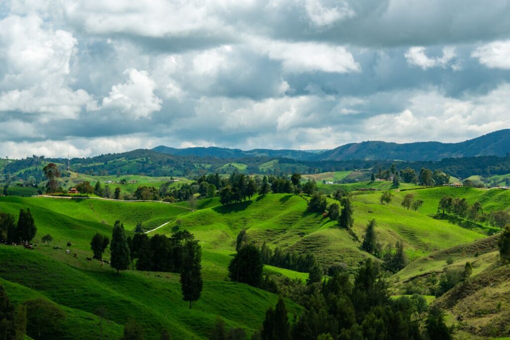 How to Invest in Boutique Hotels Without Extracting Value From the Places That Make Them Special Scenic view of vibrant green hills and dramatic clouds, perfect for nature enthusiasts.